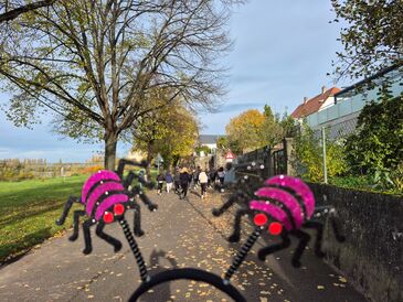 Wieder ein tolles Ergebnis - für uns und für Baobab! 